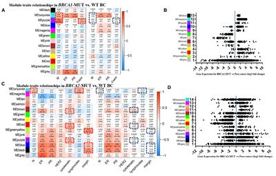 Comprehensive Analysis of Regulatory Factors and Immune-Associated Patterns to Decipher Common and BRCA1/2 Mutation-Type-Specific Critical Regulation in Breast Cancer